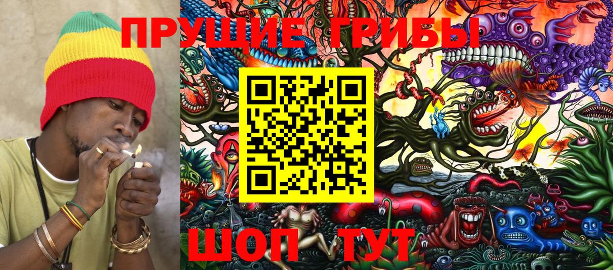 Псилоцибиновые грибы MAGIC MUSHROOMS  Псилоцибиновые грибы прущие грибы  Серов  Вход с VPN 