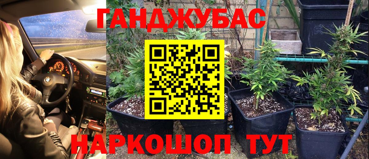 Канабис гибрид Серов